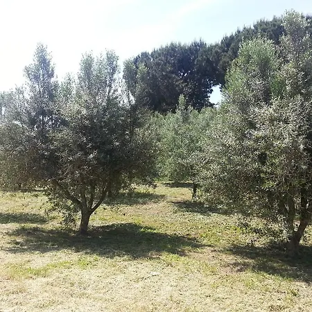 La Finestra Sul Cortile * Pomezia