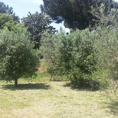 La Finestra Sul Cortile